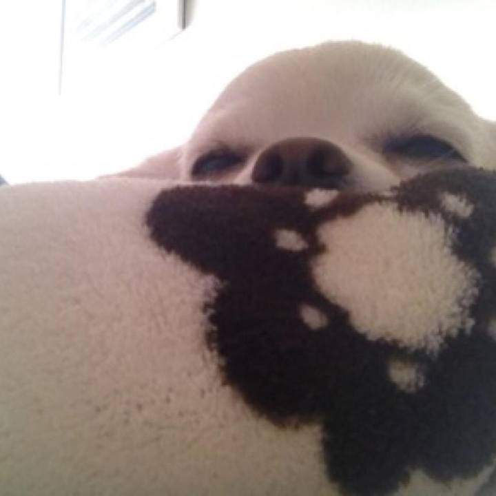 5a6e4177 2d1a 4c14 ab73 3ae3610fc79c 1522542222092