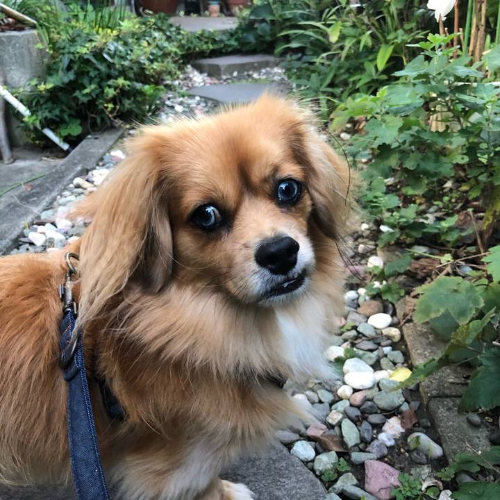 5a6e4a94 8297 4806 ad18 d41f040968a1 1572213911807