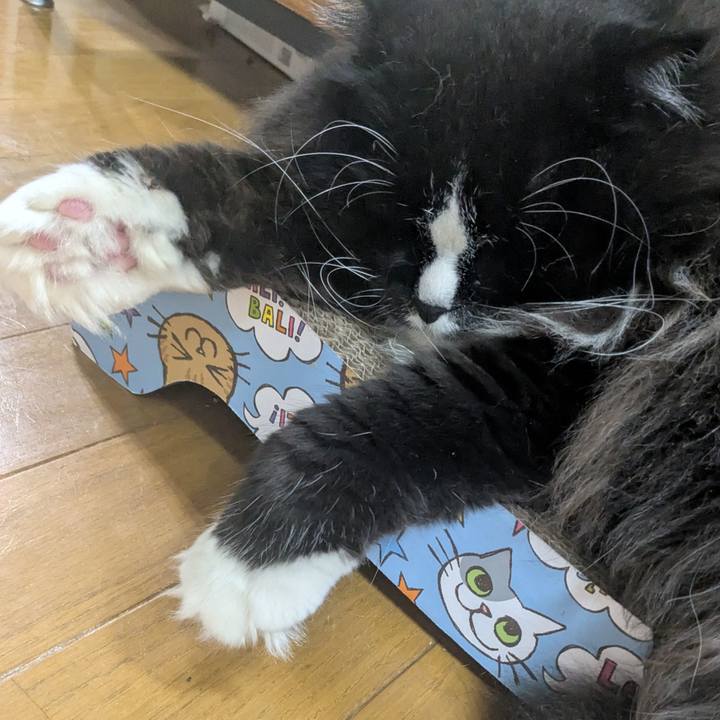 5a6e4af0 fb9b 4ecf 903d 882d98856f95 1757538632818