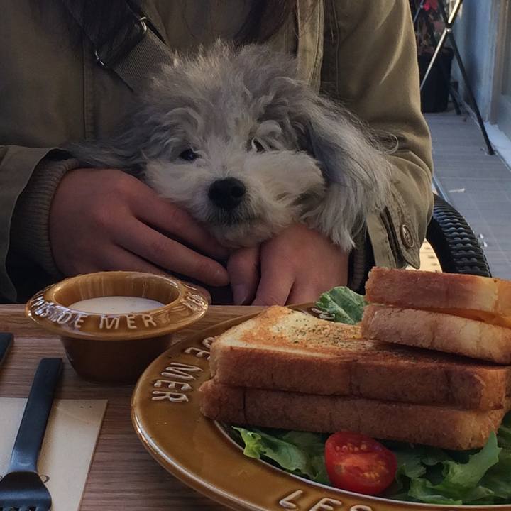 5a6e75f5 e122 48a8 9b39 05405f9ce4a8 1761005692101