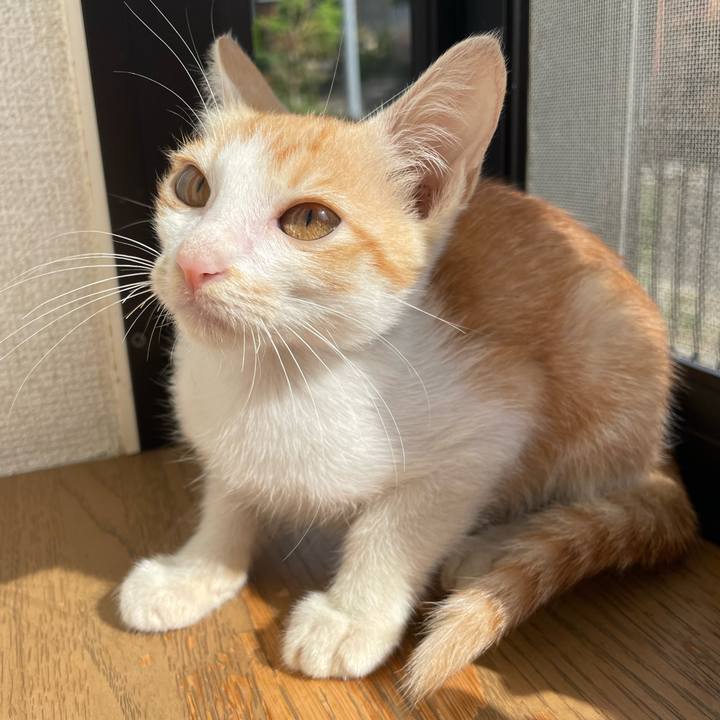 5a6e807d 8c74 4b1b 9e2c 348bfd664790 1696299016619