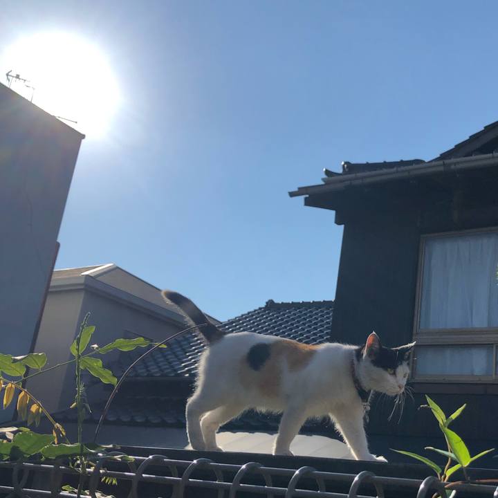 5a6fa4b3 f672 44ea ae0e 49fad61979c4 1625957359878