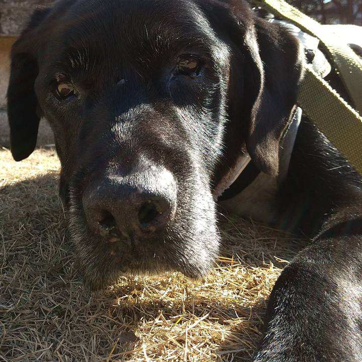 5a6fb0cb de2b 454e 9dc4 092d237950e7 1705208223036