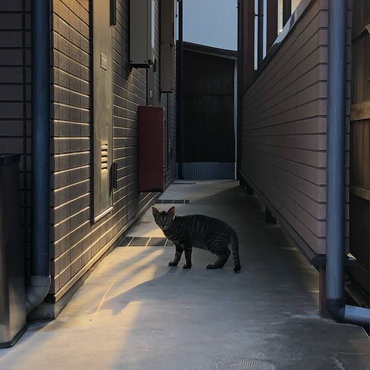 5a6fbd68 2748 47a3 bcc7 0e51437f3dd0 1569074158916