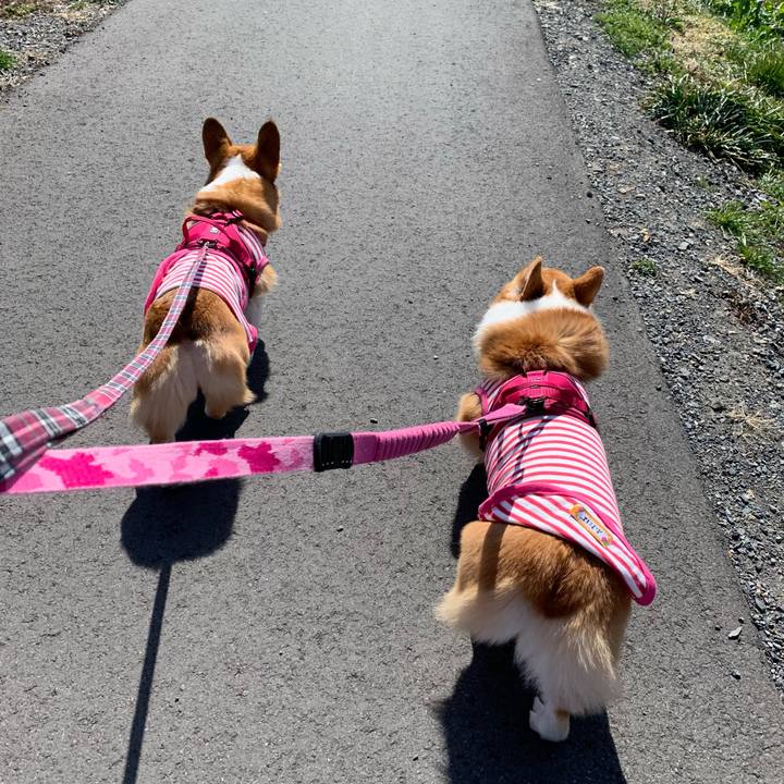 5a6fef71 9176 4c5e 9985 1cc0a11864cd 1615348376804