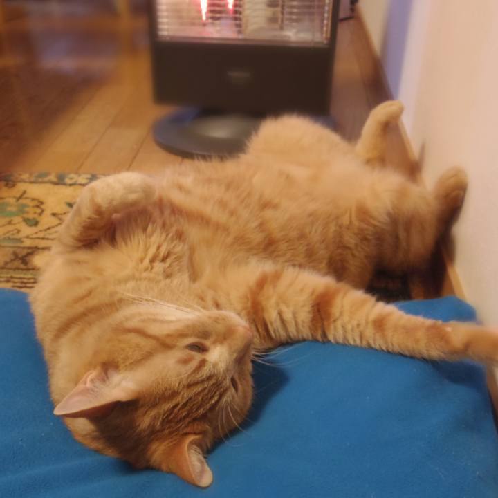 5a703aa0 059a 46a7 9153 42e0447712b2 1542410831239