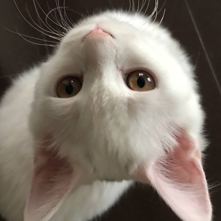 5a70432d 87d0 43bb bca6 d80fbddf552f 1510828775141