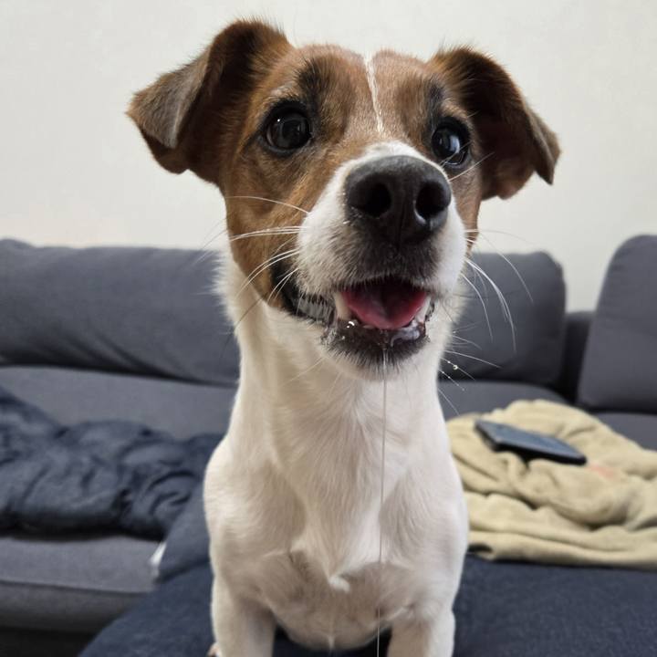 5a709557 722c 4612 8ed3 7a16917fa69d 1774245311644