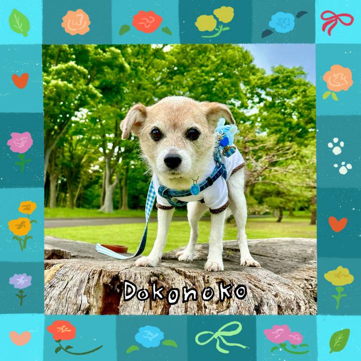 5a70a170 6a50 4ce0 92bf 538c0d165e07 1714989059780