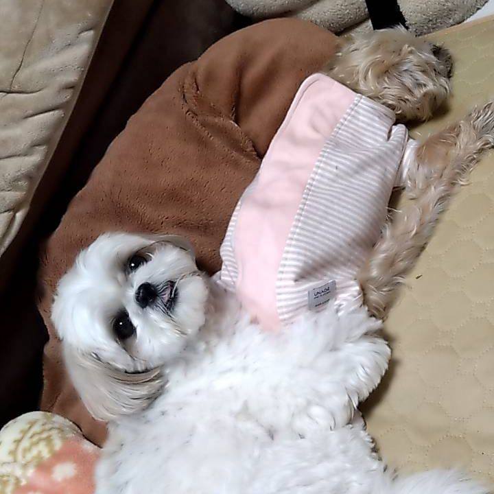 5a70a379 d632 4388 8fe9 5d60b87330b3 1747206978406