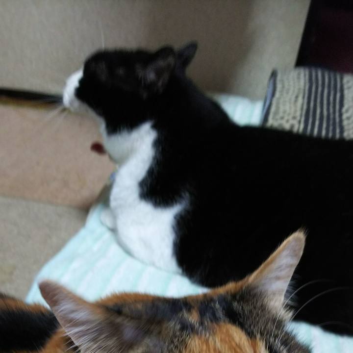 5a70a3cc a19d 4490 8141 1d5dee628365 1538430678981