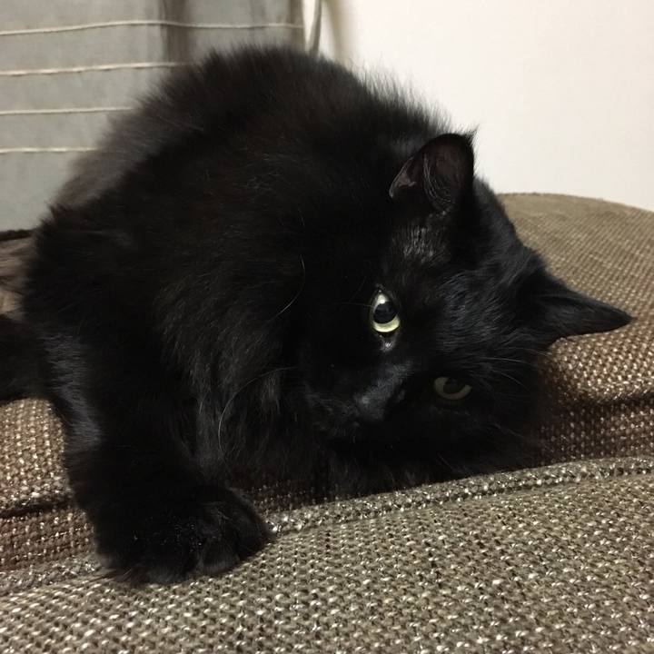 5a70c19c 43a3 4a47 afc4 8fb217c48696 1548690418477