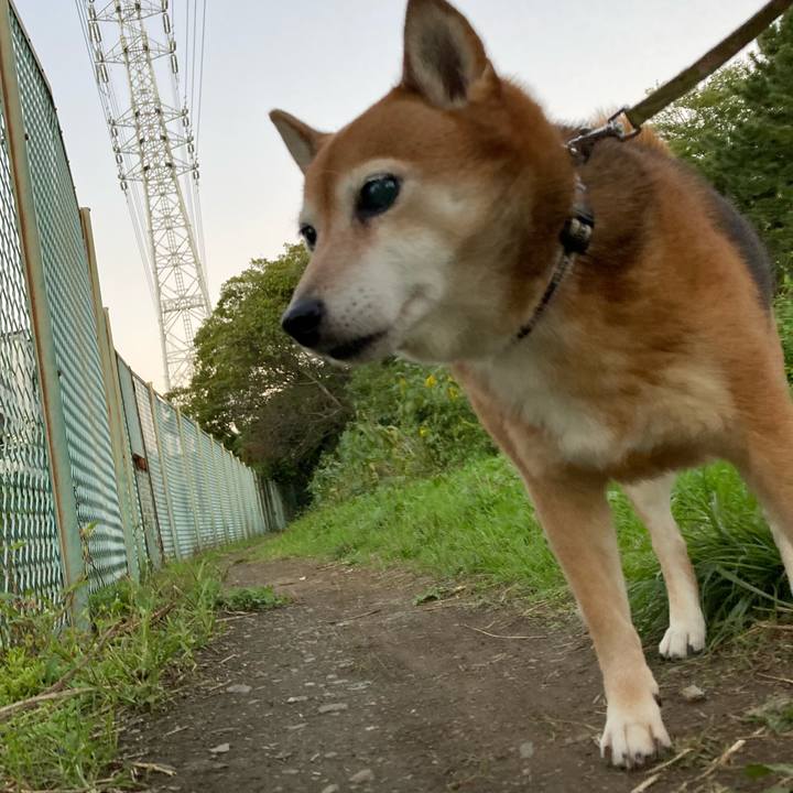 5a70ca85 99fc 492f a7fd 100ac342ea04 1634992678517