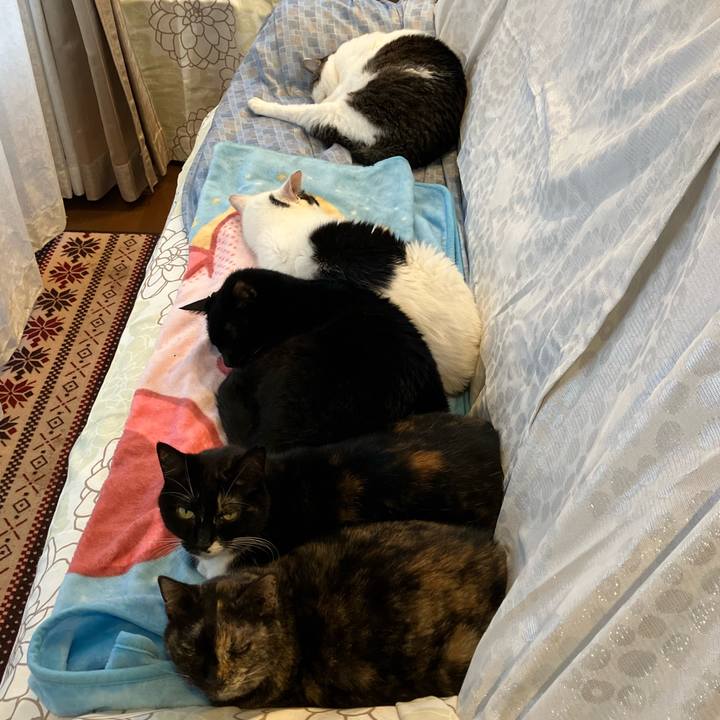 5a7105b0 8bfb 4044 bde2 4dbb919ad79b 1761534951476