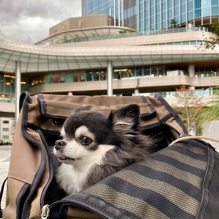 5a71104c e6d0 4daf ba1c d28536137d25 1762761151651