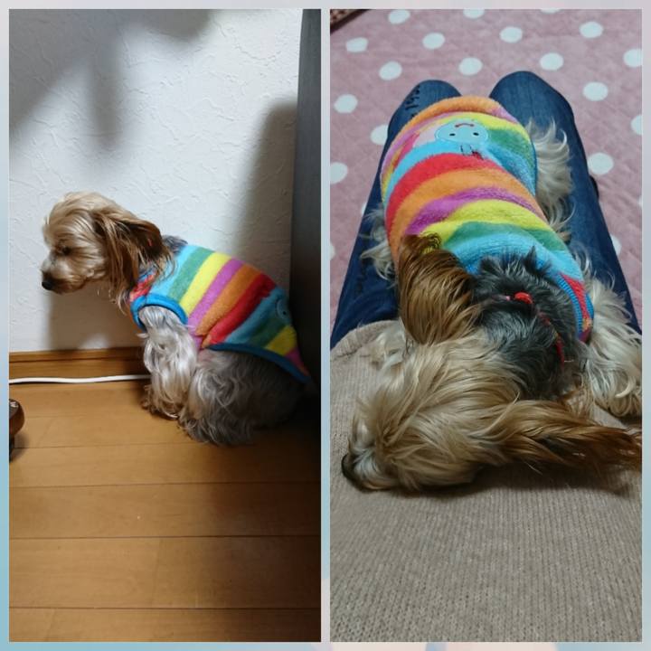 5a712074 3c8b 4d3f bc25 8e91c5b92ab6 1544489804642