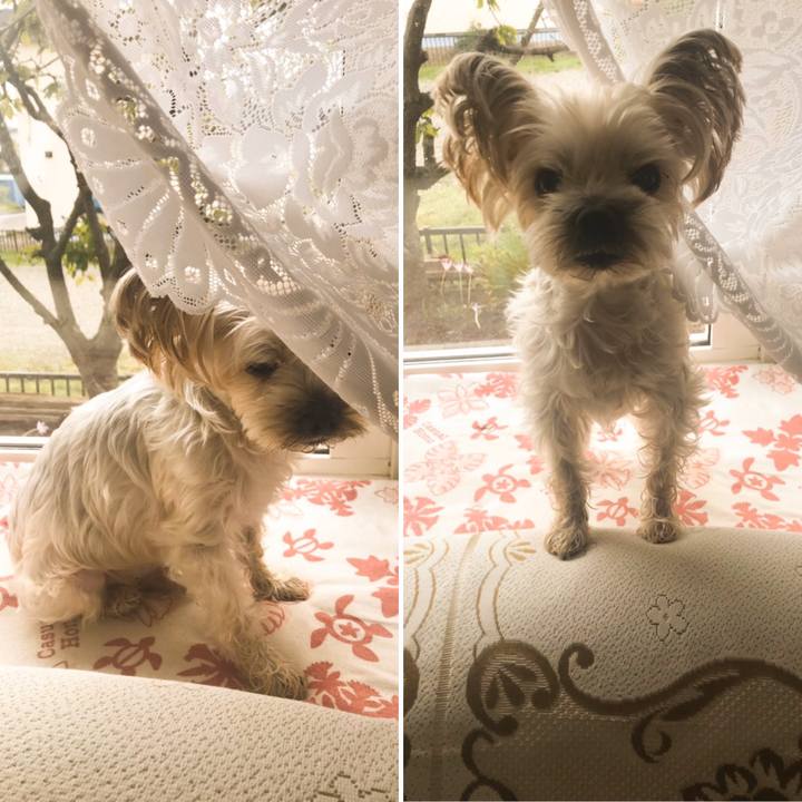 5a71212d be06 4f21 9152 0e091c715f5e 1570439519144