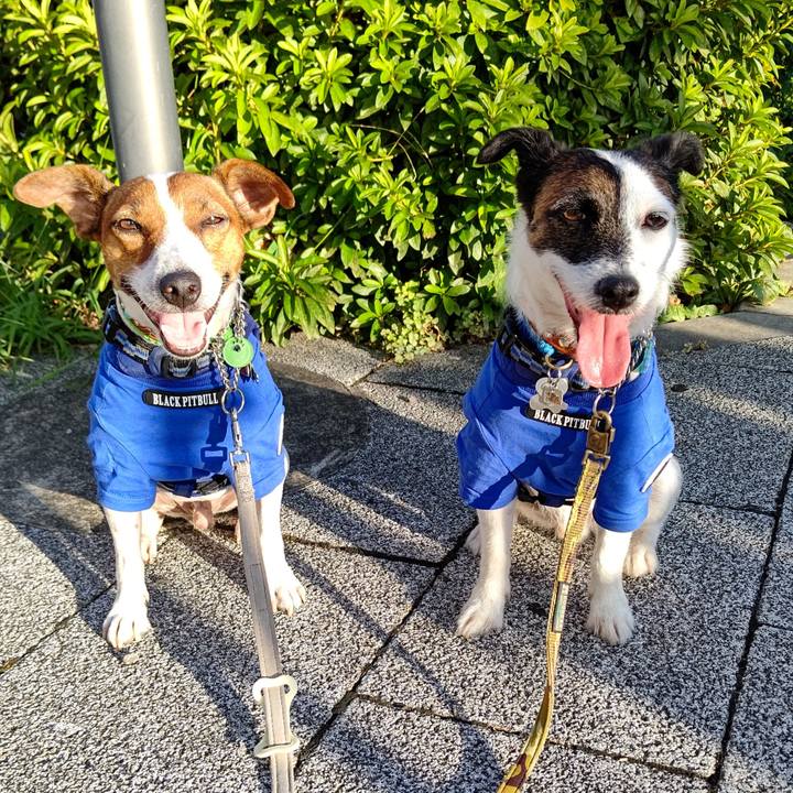 5a7132aa 79ed 44f2 82d8 9cd5eff10a9f 1628026052692