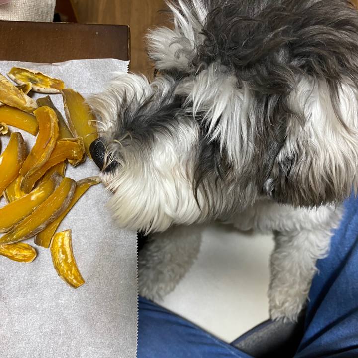 5a7146ba c7ad 4ac5 9393 3a5d2dfc4ed9 1588937030104