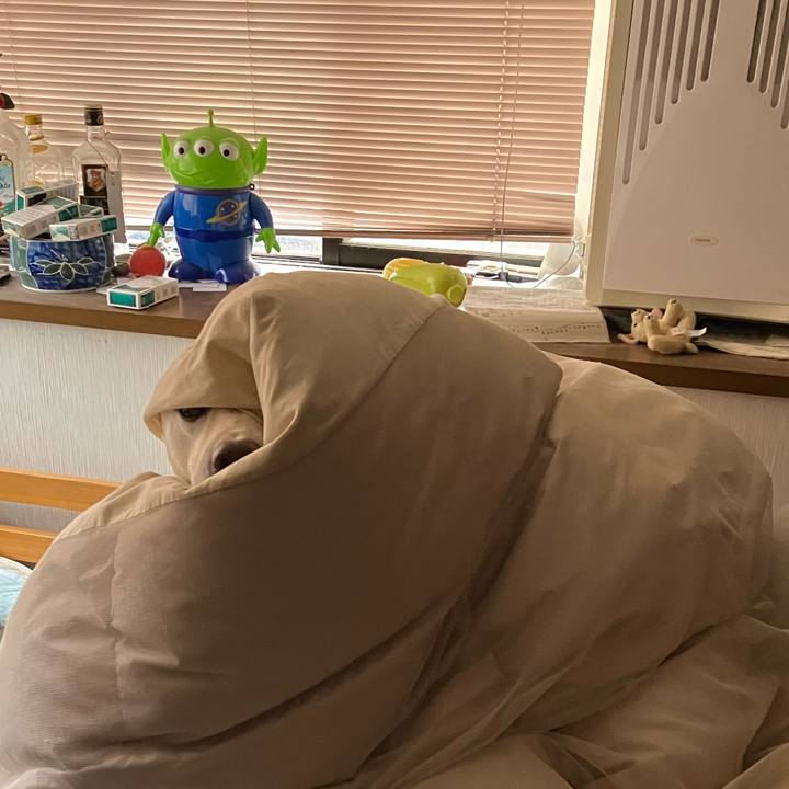 5a7156f7 4adf 4814 9cd8 5696546e2450 1679745810165