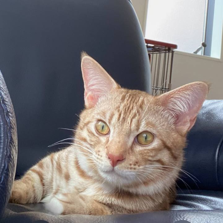 5a7160fd 60d5 4e0a ae5a c755b0a10c04 1681005295536