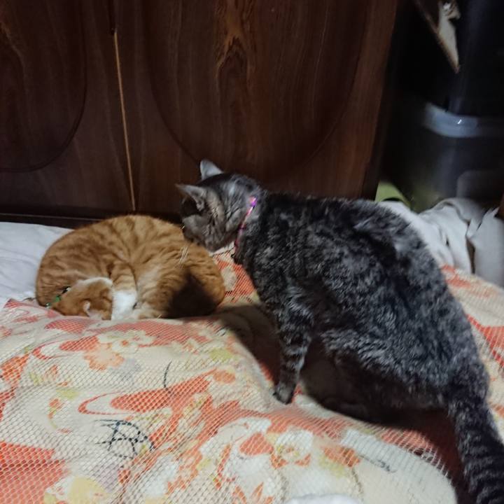 5a7165f9 ee5d 4bf0 a233 4ba460b73964 1580560495808