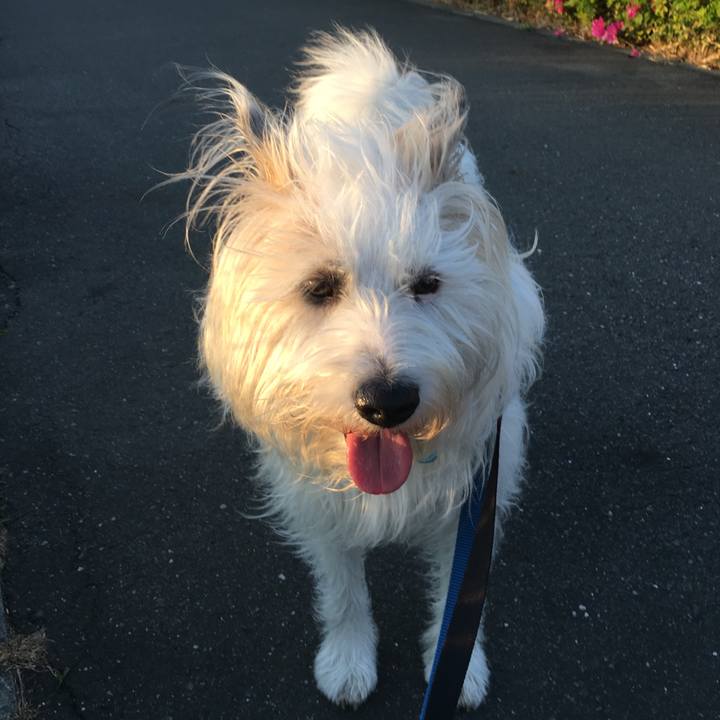 5a717ed5 34d4 424e 877e 1f7e7f7ab719 1557833287907