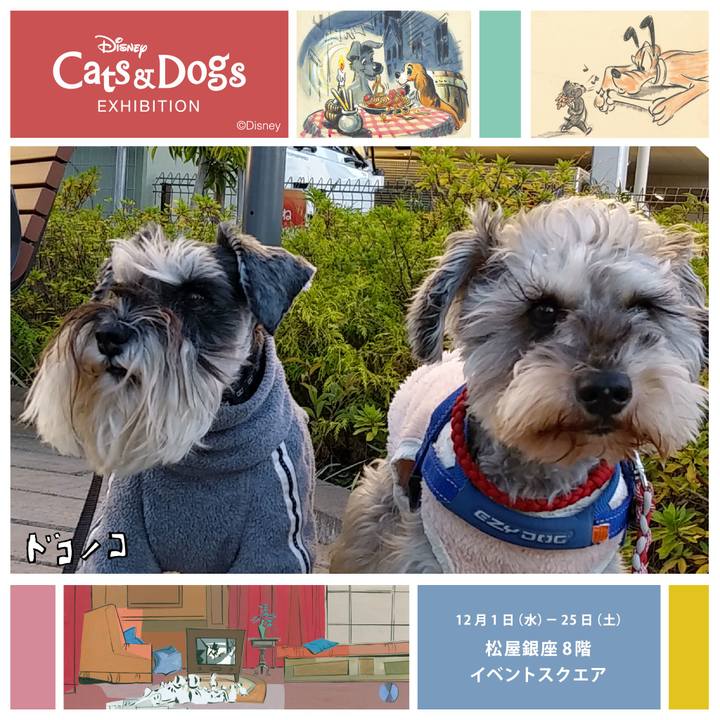 5a7183c9 b570 4554 b698 39c30ef1a409 1638955309351