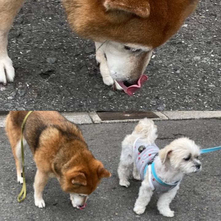 5a718df5 2530 4dbb 9672 c3d3affb064b 1716884784012