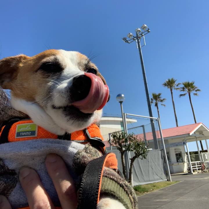 5a71f5f8 7366 41ca 8797 405a65ca551a 1615692796363