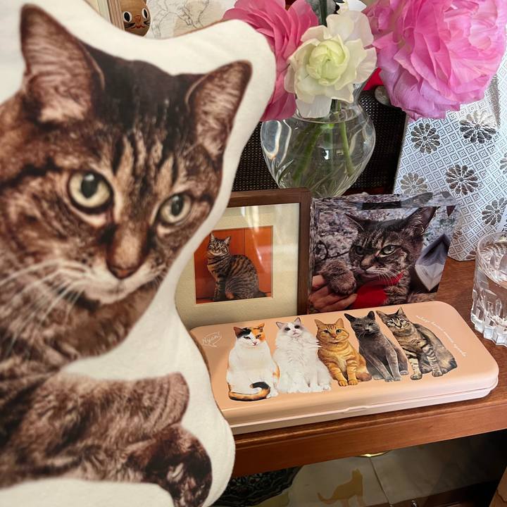 5a720adc 94cb 4707 a49e d1d3046e93ab 1771723659424