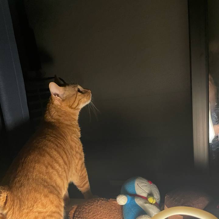 5a7213f1 0755 4db6 bc9c 4d353315d1c4 1760702866584