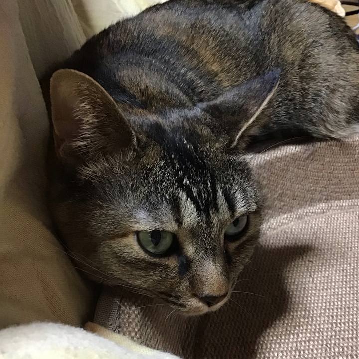 5a72b3e2 0c44 434a a5ce 363e30be866c 1735117233106