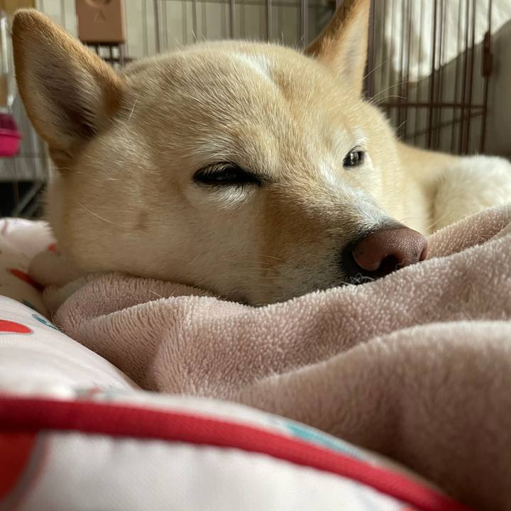 5a72dca1 dbcd 486a b977 8bdef9033854 1713914876848