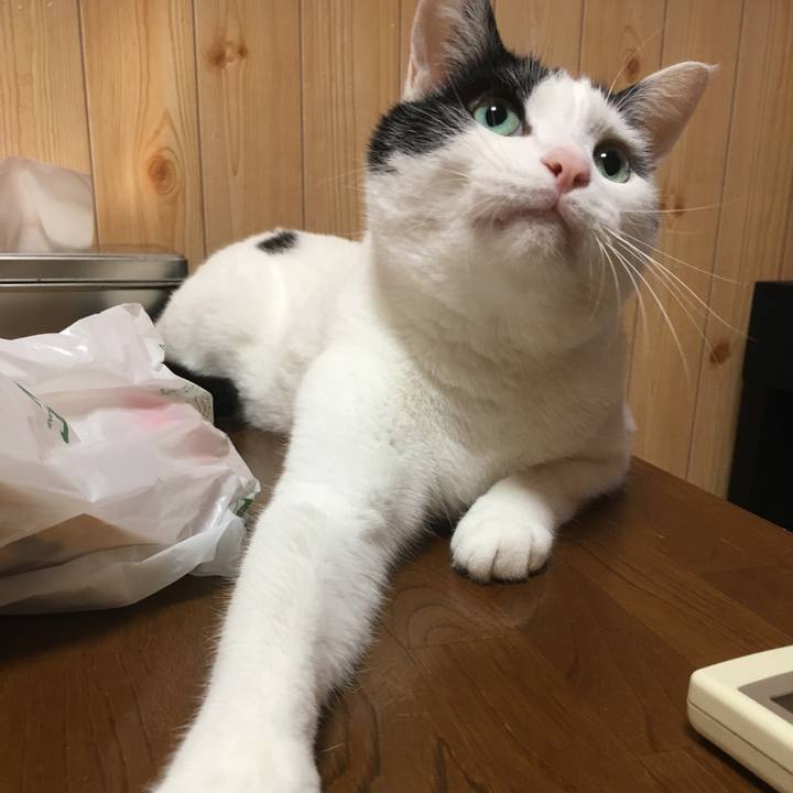 5a72e54b fb30 46ed b092 371ae015b220 1532525834810