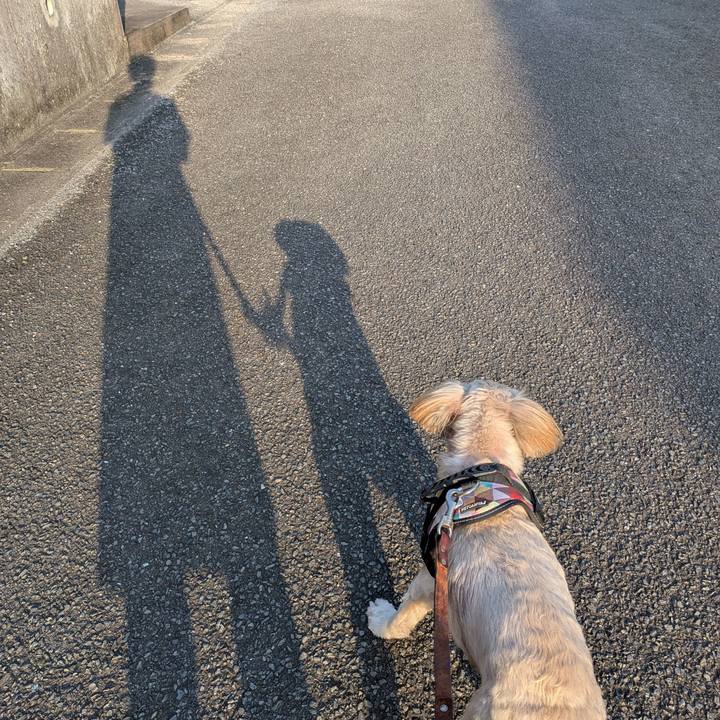 5a733fa5 c7f8 4fdb 906c 64ee0e5f8ba2 1752530352877