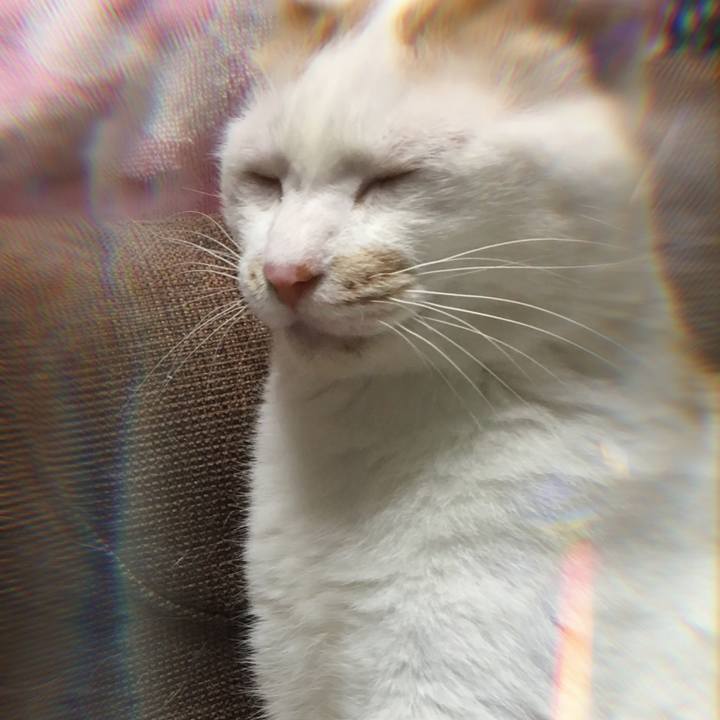 5a737633 4c0b 4177 9e9d 29e79a7dbfbd 1597237850222