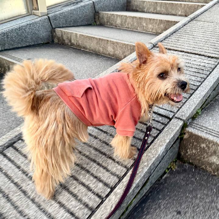 5a7377ae 0d33 49cc ad6e 6febf020c2f8 1763118461742