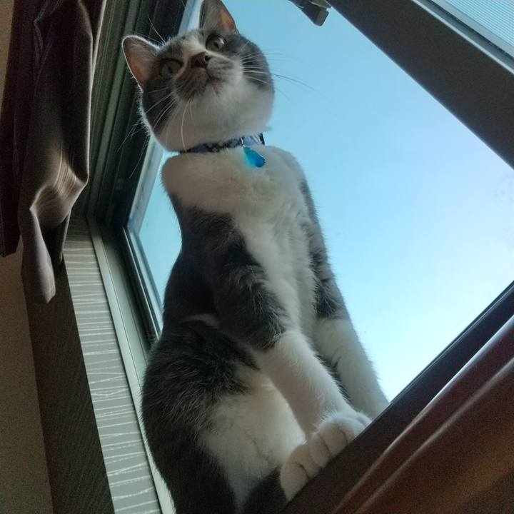 5a7388e0 d268 4f5e bb67 d86df13796d1 1603575499486