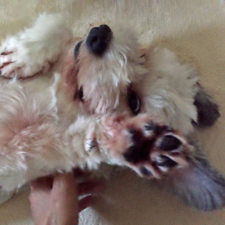 5a739d43 3022 4ce9 9133 2db30a782cf3 1531731929079