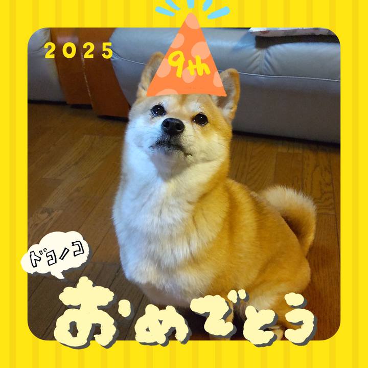 5a73baf5 5561 4e73 ad53 b9580d56966c 1749127932474