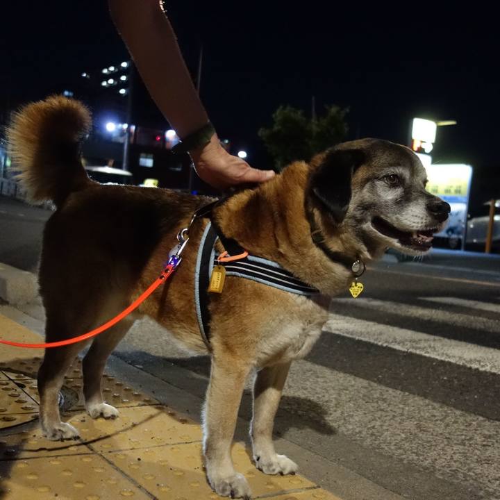 5a73c833 db0d 4256 9c15 d4f2ca22dbe0 1561461237760