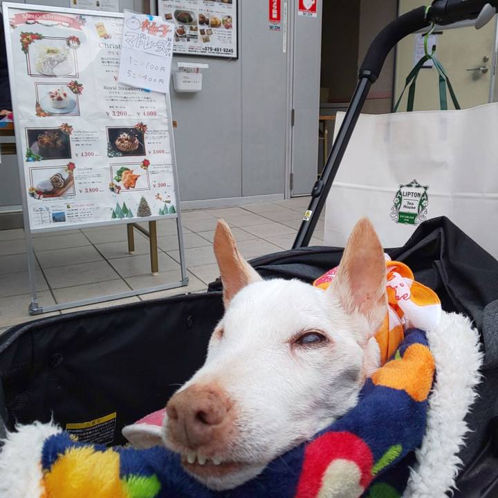 5a747cc8 de37 4f97 a274 282e5d184daf 1607740843221