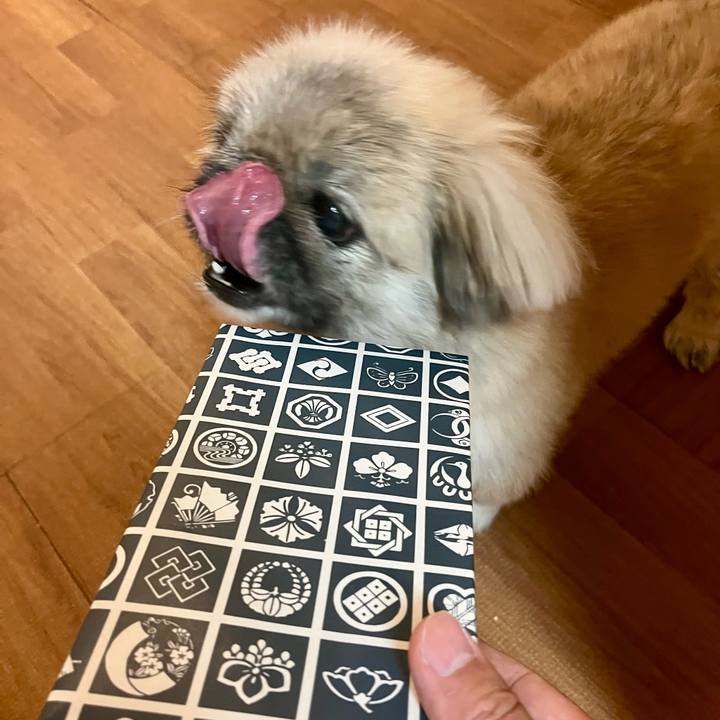 5a74d5f9 e50a 489f aa96 d889feccf2c4 1756249300641