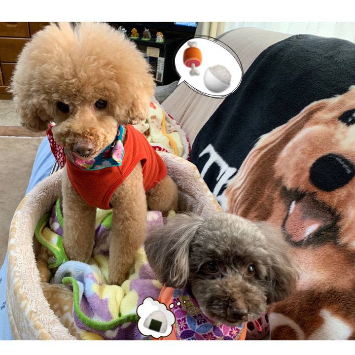 5a75190e 8071 4c2a a7d0 70da147194eb 1577426123950