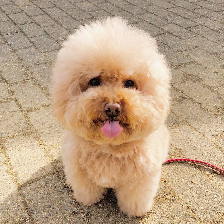 5a751e71 4333 46a1 a832 3f5704ed3c4c 1516875798071