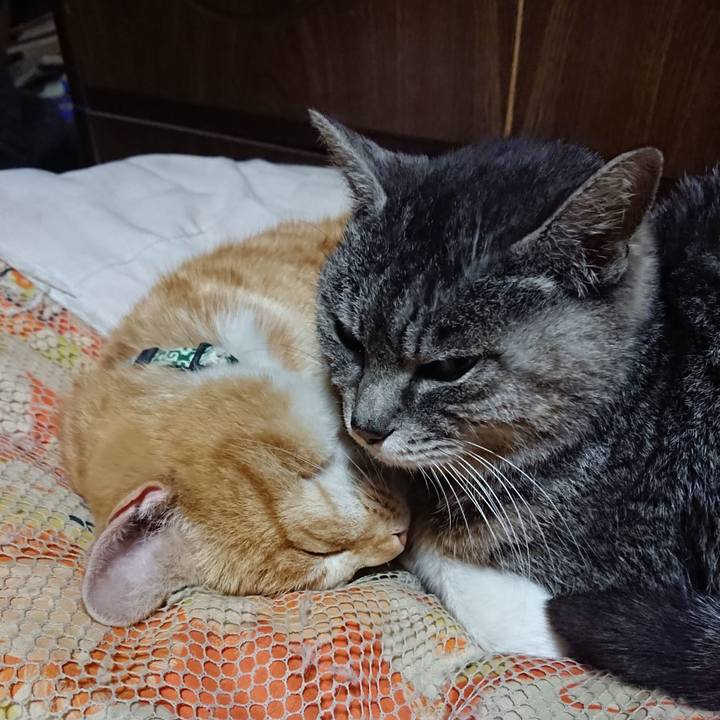 5a752e41 5b7f 4279 a1e0 200e9e8fb505 1584621056260