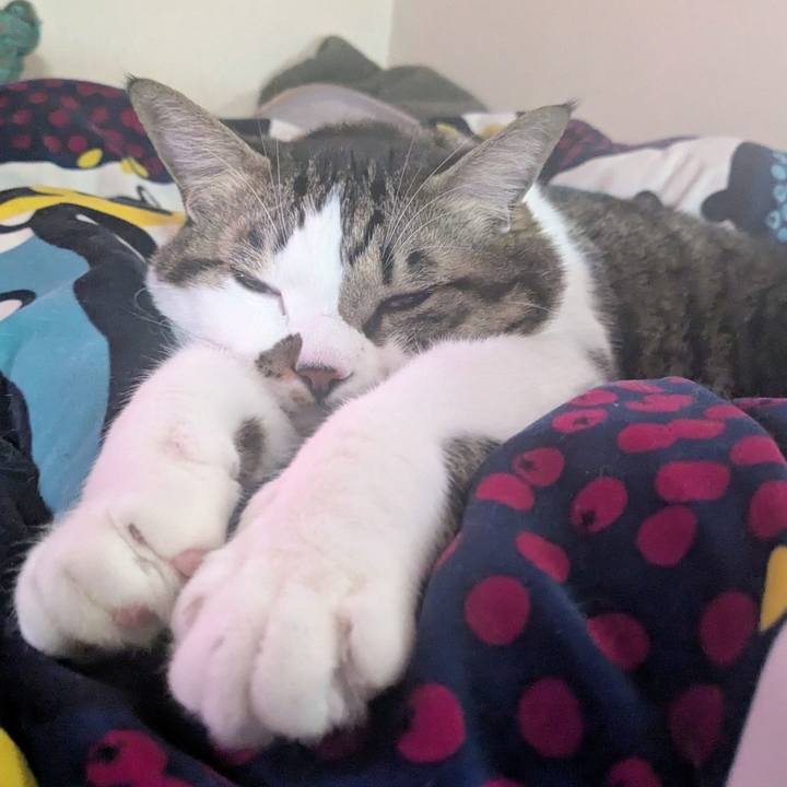 5a75421e 95bb 4750 a8c3 c15458d2f218 1763612257472