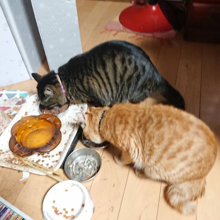 5a755899 f44e 4a9e a583 27f5afeab175 1648456634314