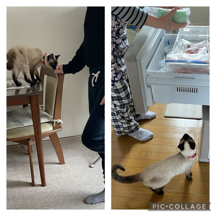 5a755c9e 1e25 4aba 8b99 7c1f13a9c5b8 1707037393946